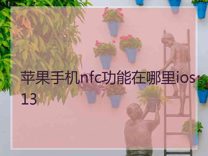 苹果手机nfc功能在哪里ios13