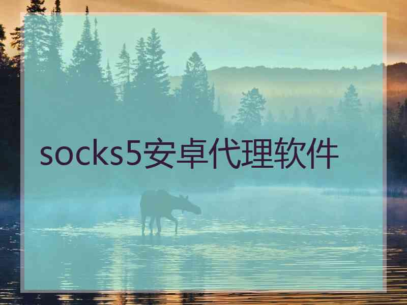 socks5安卓代理软件