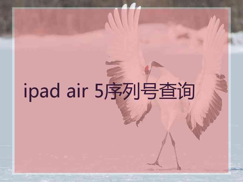 ipad air 5序列号查询