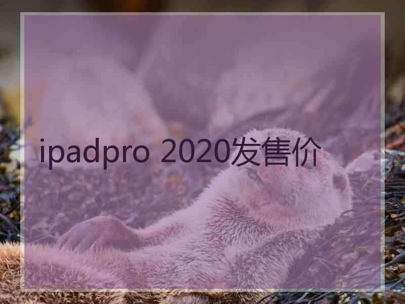 ipadpro 2020发售价