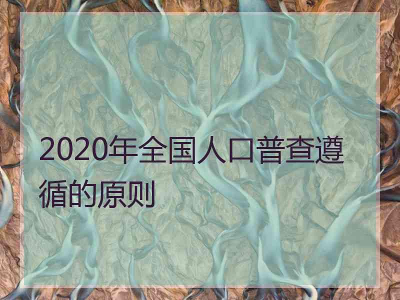 2020年全国人口普查遵循的原则