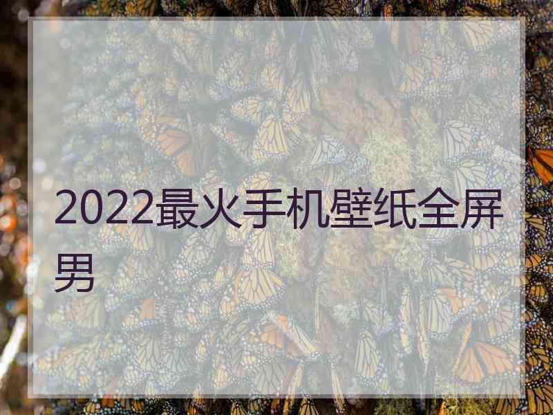 2022最火手机壁纸全屏男