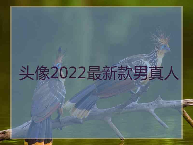 头像2022最新款男真人