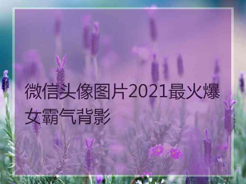 微信头像图片2021最火爆女霸气背影