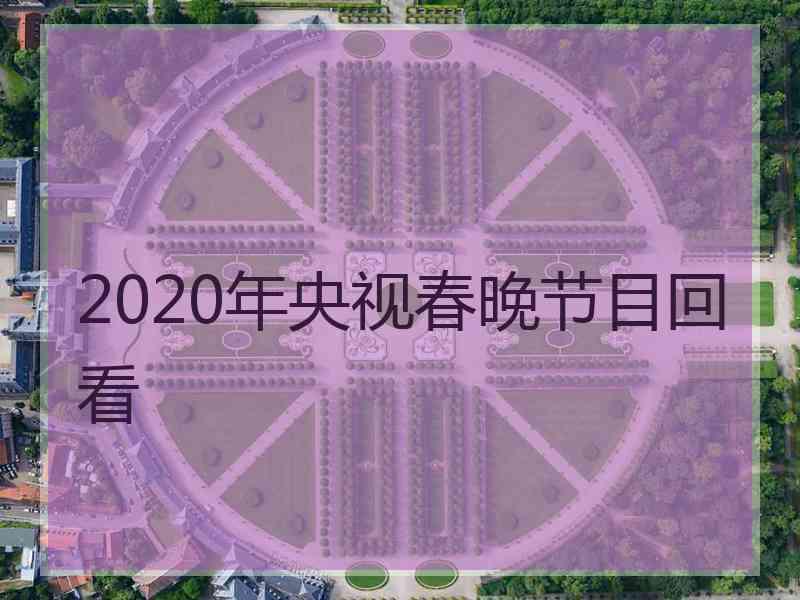 2020年央视春晚节目回看