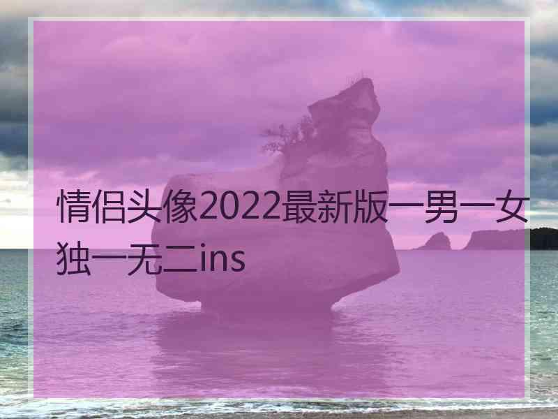 情侣头像2022最新版一男一女独一无二ins