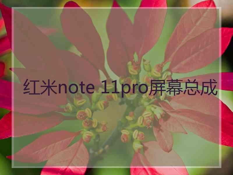 红米note 11pro屏幕总成