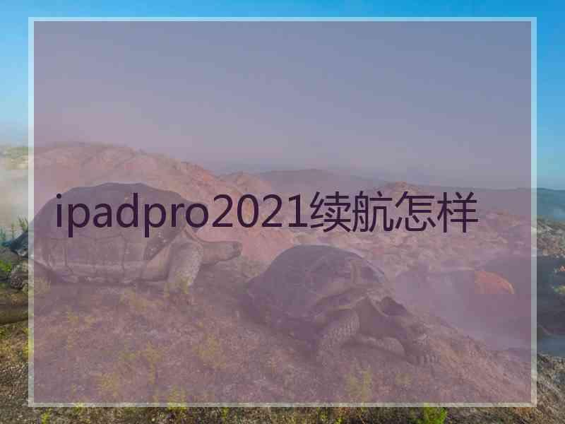 ipadpro2021续航怎样