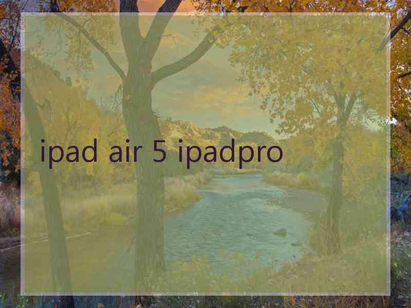 ipad air 5 ipadpro