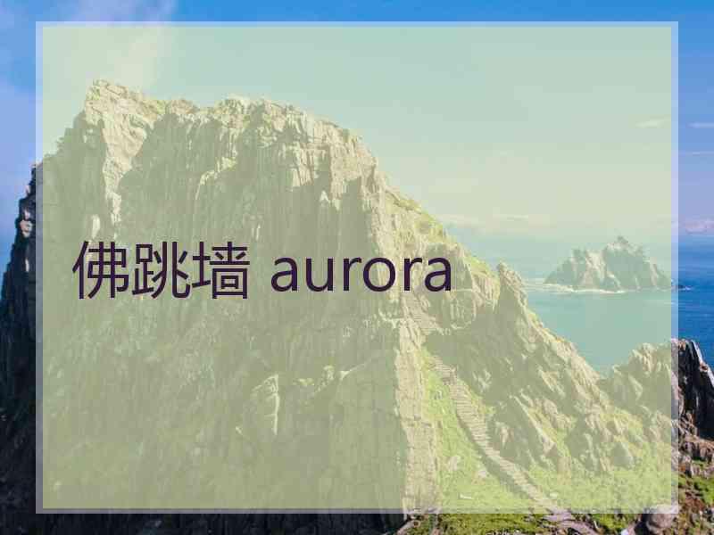 佛跳墙 aurora