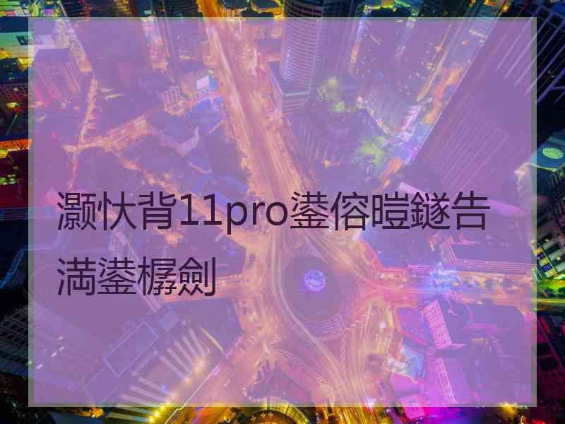 灏忕背11pro鍙傛暟鐩告満鍙樼劍