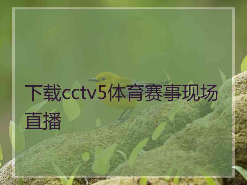 下载cctv5体育赛事现场直播