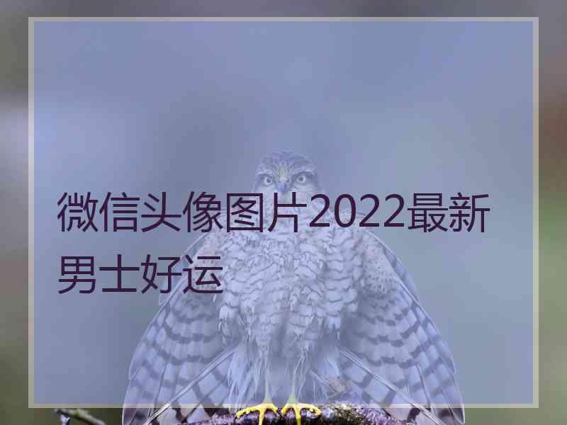 微信头像图片2022最新男士好运