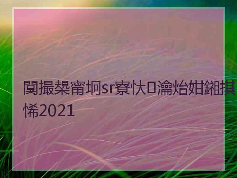 闃撮槼甯坰sr寮忕瀹炲姏鎺掑悕2021