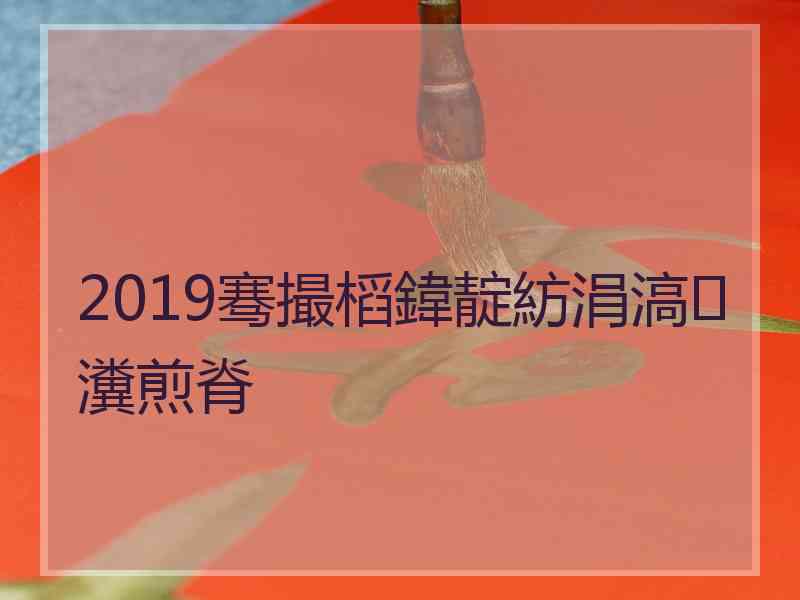 2019骞撮槄鍏靛紡涓滈瀵煎脊