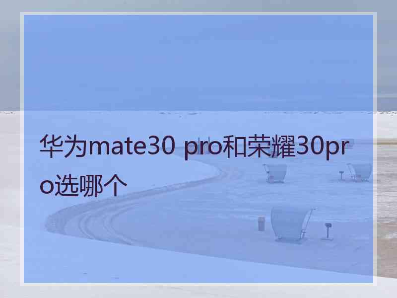 华为mate30 pro和荣耀30pro选哪个