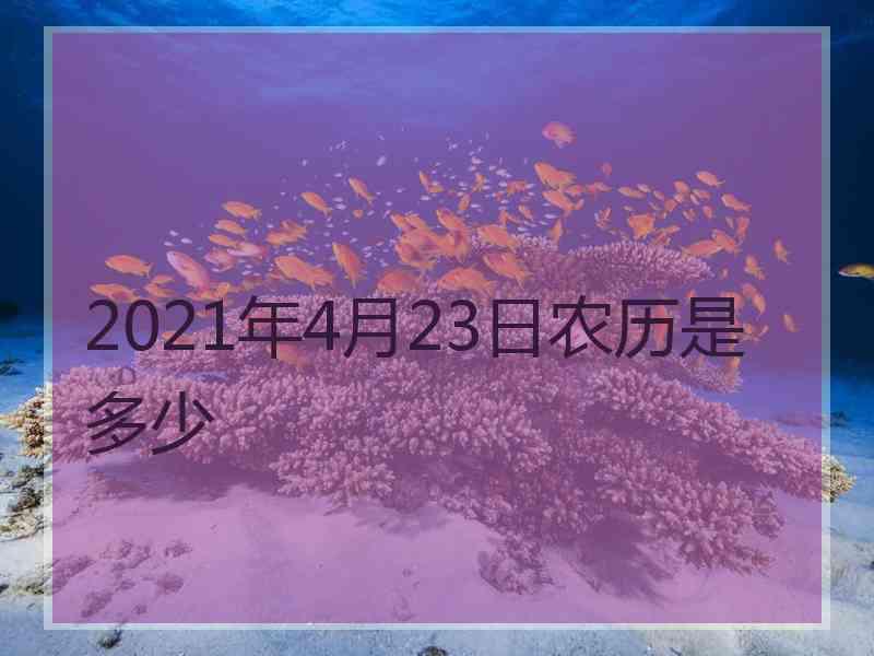 2021年4月23日农历是多少