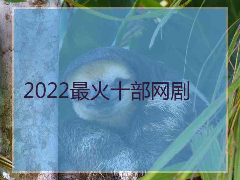 2022最火十部网剧