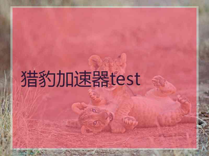 猎豹加速器test