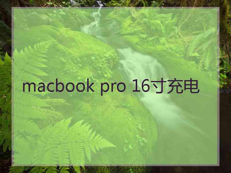 macbook pro 16寸充电