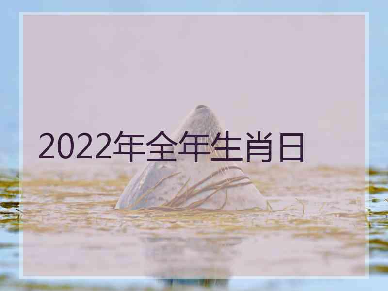 2022年全年生肖日