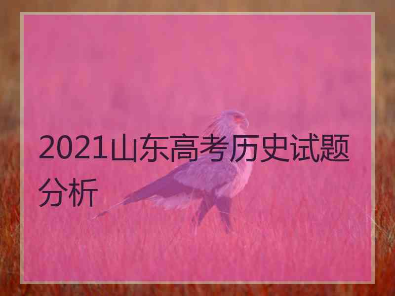 2021山东高考历史试题分析