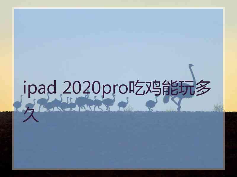 ipad 2020pro吃鸡能玩多久