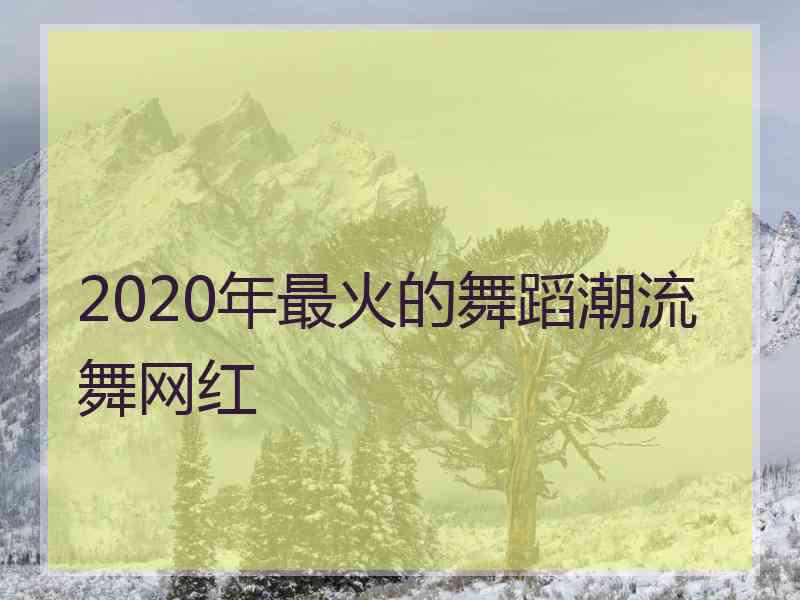 2020年最火的舞蹈潮流舞网红