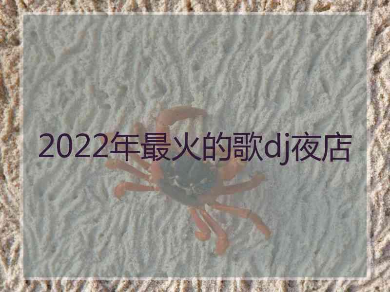 2022年最火的歌dj夜店