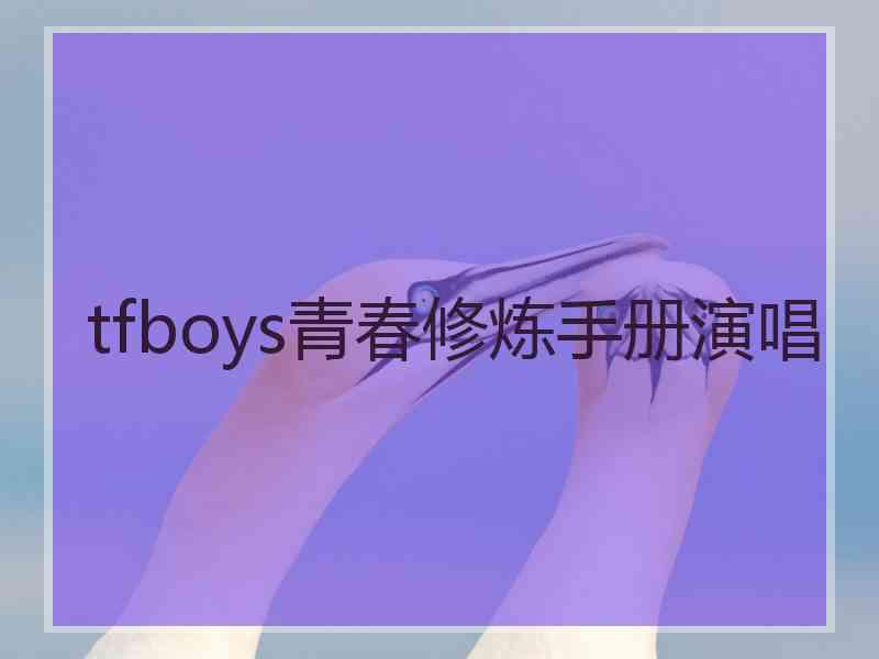 tfboys青春修炼手册演唱