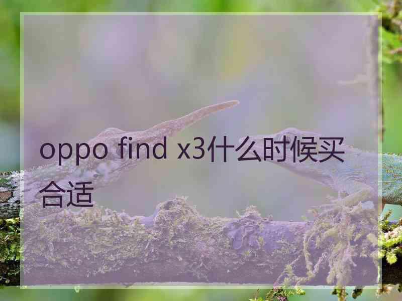 oppo find x3什么时候买合适