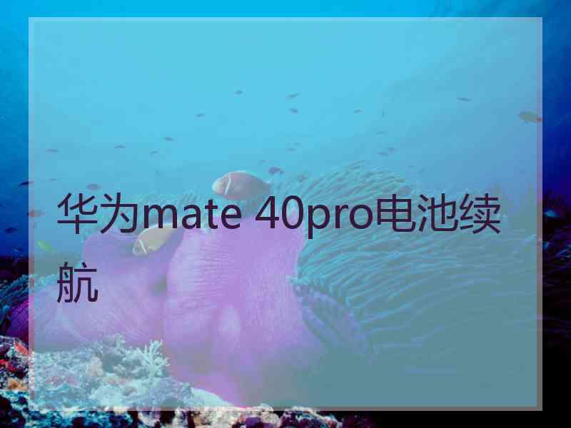 华为mate 40pro电池续航