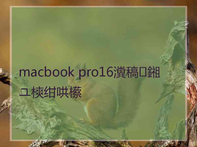 macbook pro16瀵稿鎺ユ樉绀哄櫒