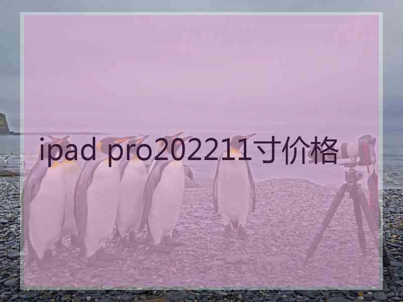 ipad pro202211寸价格