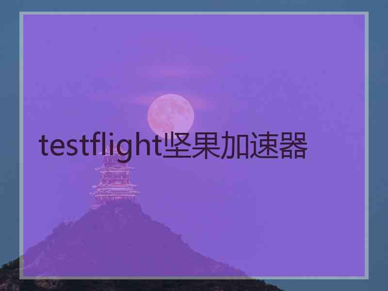 testflight坚果加速器