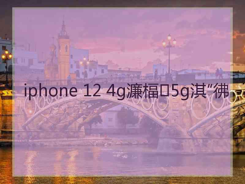 iphone 12 4g濂楅5g淇″彿