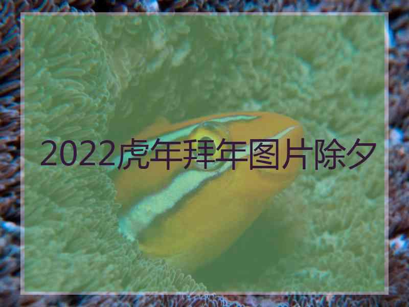 2022虎年拜年图片除夕