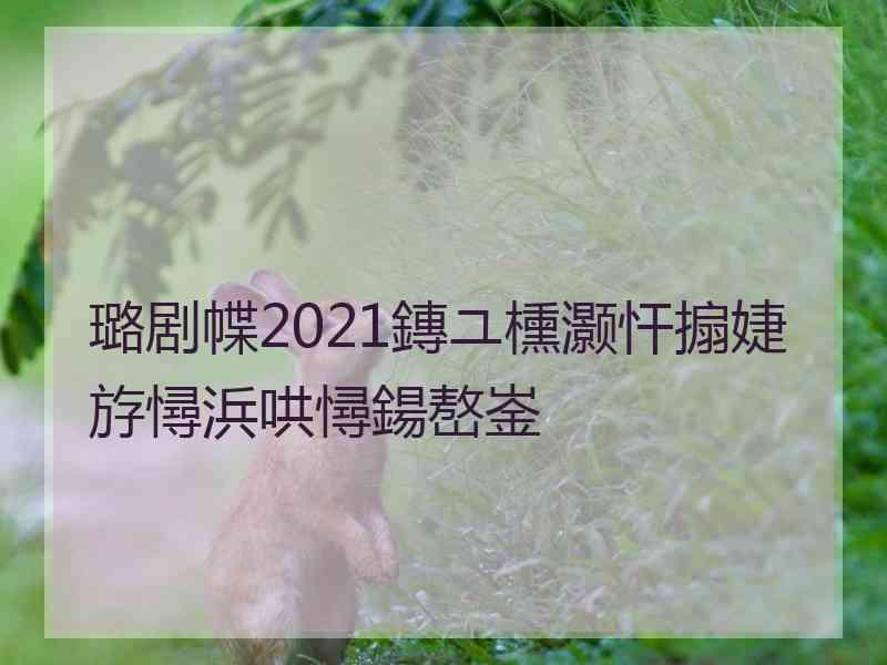 璐剧幉2021鏄ユ櫄灏忓搧婕斿憳浜哄憳鍚嶅崟