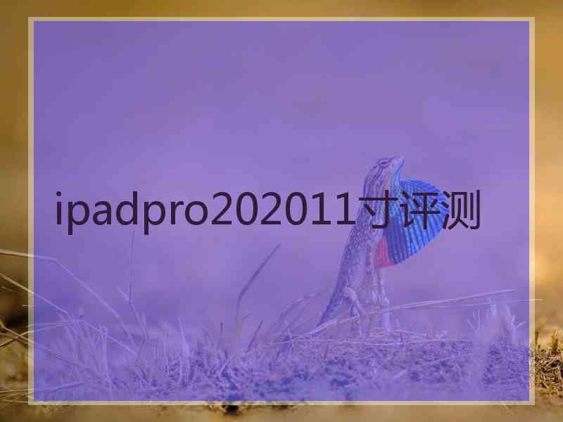 ipadpro202011寸评测