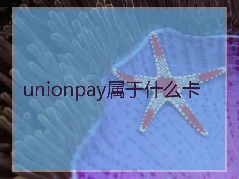 unionpay属于什么卡