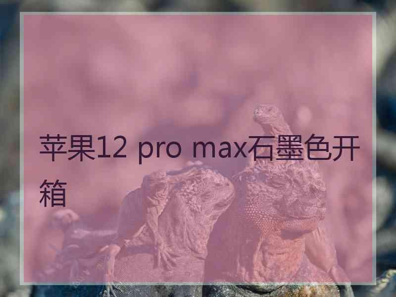 苹果12 pro max石墨色开箱