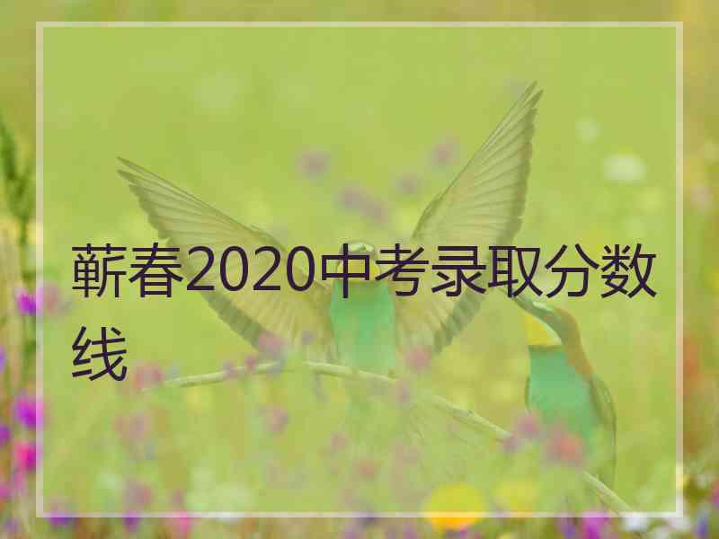 蕲春2020中考录取分数线