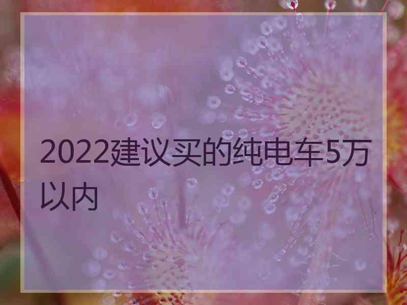 2022建议买的纯电车5万以内