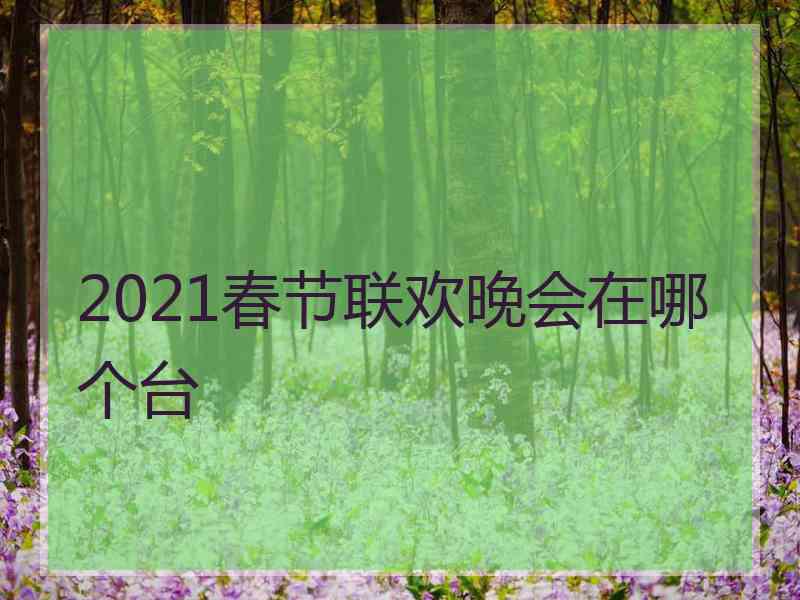 2021春节联欢晚会在哪个台