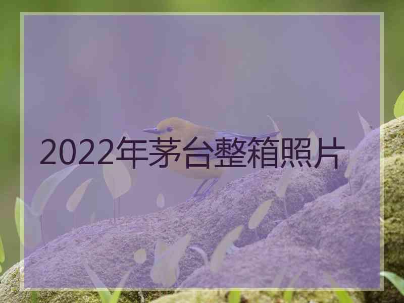 2022年茅台整箱照片