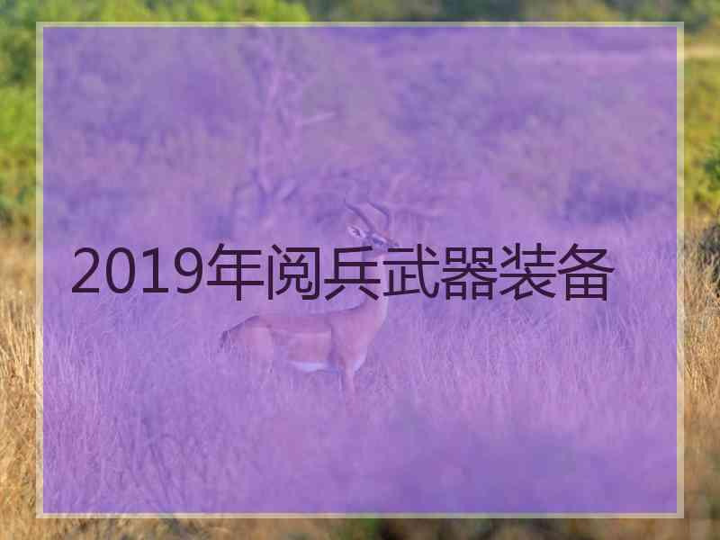 2019年阅兵武器装备