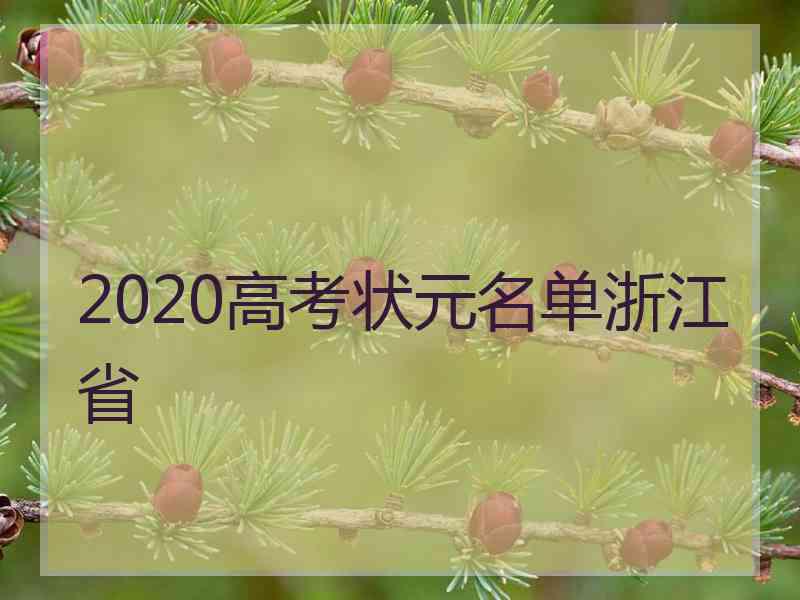 2020高考状元名单浙江省