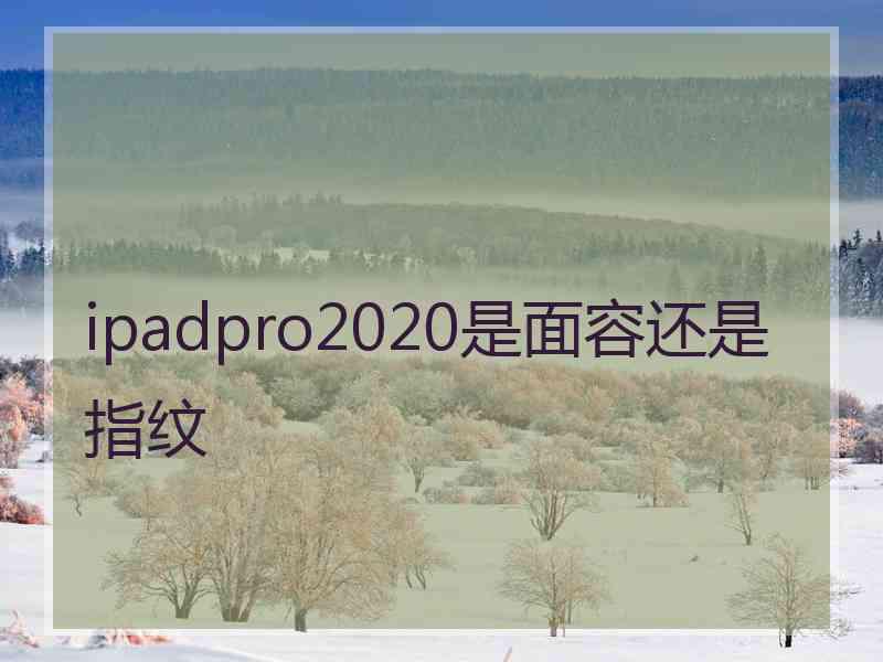 ipadpro2020是面容还是指纹