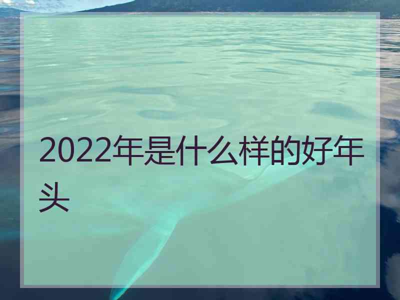 2022年是什么样的好年头