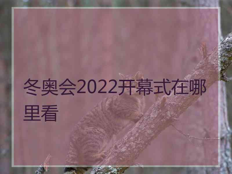 冬奥会2022开幕式在哪里看